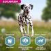 Eukanuba Adult Dog Dry Food For Large Breed Salmon & Barley 12kg - Buy Online on GoSupps.com