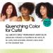 All About Curls 6WB Cinnamon Roll - Medium Blonde Permanent Hair Color for Curly Hair | 100% Grey Coverage & Nourishing Serum - Buy Online on GoSupps.com