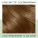 Clairol Natural Instincts Demi-Permanent Hair Dye 6.5G Lightest Golden Brown Hair Color - 5.85 Fl Oz (Pack of 1) - Buy Online on GoSupps.com