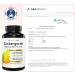 15-Way Blood Sugar Formula - 90 Vegan Capsules with Turmeric Cinnamon Ginger & More - Plantomol - Sugar Guard Supplement for Optimal Health - Buy Online on GoSupps.com