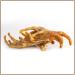 Chicken feet for dogs 500g The Premium Kausnack from Pridedogs |100% chicken from German productionHundeleckerli grain -free chicken foot