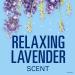Secret Fresh Clear Gel and Deodorant for Women Clear Gel Refreshing Lavender Scent 2.6 oz (Pack of 2) Multi 2.6 Ounce (Pack of 2) - Buy Online on GoSupps.com