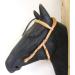 PS Horse Articles Anatomic Bridle Arrimar - Bitless & Snaffles - Full Size - Cognac-Hazelnut Color - International Shipping Available - Buy Online on GoSupps.com