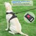 tobeDRI No Pull Dog Harness & Leash Set - Adjustable Reflective Oxford, Easy Control for Medium & Large Dogs - Blue - Buy Online on GoSupps.com