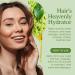 Green Coffee Bean Oil 473 ml Rich in Antioxidants Natural Moisturizer Versatile Use Bella Terra Oils  - Buy Online on GoSupps.com