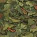 Tropical Malawi Flake Food - Premium Nutrition for Cichlids | 1 Pack (1 L) - International Shipping Available - Buy Online on GoSupps.com