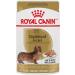 Royal Canin Dachshund Adult Wet Dog Food 3oz - Pack of 12 | Loaf in Gravy - Buy Online on GoSupps.com