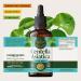 HERBAMAMA Gotu Kola Tincture - Vegan Brain Support with Centella Asiatica Extract Drops for Brain Support - Non-GMO, Alcohol & Sugar-Free Gotu Kola Extract Supplement, 84-Day Supply 4 Fl Oz (Pack of 1) - Buy Online on GoSupps.com