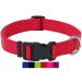 Dey - Premium dog collar nylon |Adjustable |For small and large dogs |Many colors and sizes |Collar dog cat puppy |Dog neck bands |Cat neck band |Puppy neck band |Red m m - 2.0 x 34-49 cm red