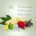 Penhaligon's Ladies' Fragrance Collection 5 x 5 ml - Buy Online on GoSupps.com