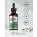 Echinacea Goldenseal Liquid Extract - 2 fl oz Alcohol Free Tincture | Vegetarian, Non-GMO, Gluten Free | Horbaach - Buy Online on GoSupps.com