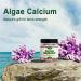 Vegan Peach Flavor Sugar Free Calcium Magnesium Zinc Gummies 2:1 Ratio - 60 Cts, with Vitamin D3 K2 for Bone Strength & Muscle Function - Buy Online on GoSupps.com