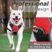 Eagloo Dog Harness for Small Dogs | Adjustable Anti-Train Dog Harness with Reflective Strips | Durable & Comfortable for Walking/Jogging | 1 Pack Red - Buy Online on GoSupps.com