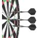 CyeeLife Steel Tip Darts 24g Set with Carry Case, Sharpener & Integrated Flights | Professional Brass Style A-Black - Buy Online on GoSupps.com