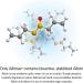 Allimax Pro 450mg 100 Vegicaps - Spanish Garlic Supplement for Immune Support | Professional Strength Allicin Extract - Buy Online on GoSupps.com