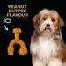 Tasty Trio Bone Cacahuete Mantequilla Toy - Premium Pet Chew for Dogs | Buy Online Worldwide - Buy Online on GoSupps.com