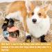 2 Pairs Anti Slip Dog Socks Paws Stop Licking Dog Cat Paw Protectors with Waterproof Rubber Bottom and Adjustable Straps Dog Claw Socks for Puppy Dog Indoor Outdoor Hardwood Floor Walking (M) - Buy Online on GoSupps.com