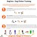 DogCatz Hybrid Dog Clicker and Whistle Training Train Your Pet Dogs and Cats in Obedience (Sky Blue) - Buy Online on GoSupps.com