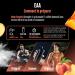  GEN GERMAN ELITE NUTRITION EAA Powder 532g (38 servings) - All 9 essential amino acids including histidine & BCAAs - Human Code formula - Vegan - Very good solubility - Refreshing amino acid drink (Peach Iced Tea) - Buy Online on GoSupps.com