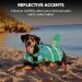 Buy Cit toile Dog Life Jacket - Shark Design Safe & Lightweight Swimming Vest for Small Medium & Large Dogs - Reflective Handle Gray/Blue - Buy Online on GoSupps.com