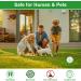 12 Pack Natural Peppermint Oil Rodent Repellent Balls - Safe Pest Control for Mice, Rats, Roaches, Moles, Squirrels, Ants, Moths - Indoor & Outdoor Use - Pet & Kid Safe - Buy Online on GoSupps.com