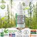 ANUMED Hemp Roll-On 4000mg Pain Relief with Arnica & Turmeric - 2 Pack (1oz) | Fast-Acting Maximum Strength Anti-Inflammatory Solution - Buy Online on GoSupps.com