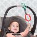 Buy Infantino Teething Ring Animal Parade | 24-Piece BPA-Free Play Set | Safe & Colorful Teething Toys for Babies - Buy Online on GoSupps.com