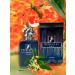 HERCULES PARIS EAU DE PARFUM 3.4 FL. Oz Aromatic Spicy fragrance for Men. - Buy Online on GoSupps.com