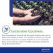 Pure Encapsulations Ascorbyl Palmitate 180 Capsules | Vitamin C for Iron Absorption & Immune Health - Buy Online on GoSupps.com