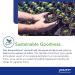 Pure Encapsulations - Astaxanthin - Stable Fat-Soluble Antioxidant Supplement - 60 Softgel Capsules - Buy Online on GoSupps.com