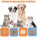 Buy Aiqinu Dog Lick Mat (2-Pack) - BPA-Free Suction Cup Slow Feeder for Dogs & Cats | Perfect for Bathing Training & Grooming | Small Orange & Blue - Buy Online on GoSupps.com