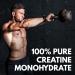 Max Muscle Ultra Pure Creatine Monohydrate Powder - 5000 mg 3rd Party Tested Micronized Unflavored Keto Friendly 50 Servings 8.8 Ounces - Optimize Performance & Absorption - Buy Online on GoSupps.com