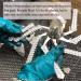 Thistle Hair Clip: Handcrafted Metal Barrette - Made in USA (70mm Clip) - Buy Online on GoSupps.com