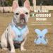 Pawaboo Dog Harness & Leash Set - Adjustable Anti Pull Chest Harness for Small & Medium Dogs - Breathable Vest (L Blue) - Buy Online on GoSupps.com