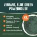 360 Nutrition Spirulina Powder - Vegan, Non GMO, Rich in Vitamin A, B Vitamins, Iron, Protein & Amino Acids - Caffeine Free Energy, Digestive Health, Immune Support - 6g Plant Based Protein - 2 oz - Buy Online on GoSupps.com