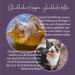 MEDICAT Premium Salmon Oil for Cats 250 ml | Omega-3 Skin & Coat Care | Ship Worldwide - Buy Online on GoSupps.com