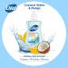 Dial Coconut Water & Mango Liquid Hand Soap 7.5oz - Pack of 12 - Buy Online on GoSupps.com
