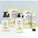 J.R. Watkins Lemon Hand Soap 11 Fl Oz 3 Pack - Moisturizing, Alcohol-Free, Cruelty-Free - USA Made Liquid Soap for Bathroom/Kitchen with Dispenser - Buy Online on GoSupps.com