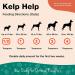 NaturVet All-in-One Dog Powder Supplement + NaturVet Kelp Help Plus Omegas for Dogs and Cats - Buy Online on GoSupps.com