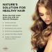 MKS Eco Nourish Shampoo - Original Scent 25 fl oz | Cleanses Strengthens & Repairs Fine Hair | Vegan & Cruelty-Free | Safe for Color Treated Hair with Moroccan Argan & Hemp Seed Oil - Buy Online on GoSupps.com