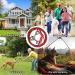 Qcwwy Stainless Steel Dog Anchor | 360 Rotatable Rust-Free 5m Cable for Large Dogs | Durable Pet Anxiety Solution for Courtyard Lawn & Outdoor Camping - Buy Online on GoSupps.com