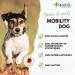 4-BEINER Mobility-DOG 120 tablets for dog joints devil's claw MSM chondroitin glucosamine hyaluron frankincense extract bromelain green-lipped mussels vitamin B etc. - Buy Online on GoSupps.com