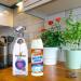 Multi Purpose Cleaning Bundle With Stardrops White Vinegar 850ml Duzzit Baking Soda For Cleaning 500g 2x Scotchbrite Sponge Scourer and Oven General & Carpet Cleaning Tips - Buy Online on GoSupps.com
