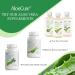 AloeCure Organic Aloe Vera Juice - 12 Bottle Sample Pack - Grape Lemon Natural Flavor 12x500ml - Buy Online on GoSupps.com