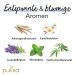 Pukka Organic Herbal Tea Peace - Chamomile Lavender Spearmint & Ashwagandha | 80 Tea Bags | Pack of 4 | Moments of Calm | International Shipping Available - Buy Online on GoSupps.com
