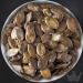 Buy Bremer Gew rzhandel Styrian Pumpkin Seeds - 250g | Medicinal & Crunchy Pumpkin Seeds from Styria Perfect for Snacking & Cooking - Buy Online on GoSupps.com