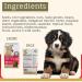 SmartBarf - Dog Food Toppers (500g) with Essential Nutrients - Vegetable Seed & Fruit Mix - Prebiotics for Dogs Dog Gut Health Supplement Raw Food Mix Rich in Minerals & Vitamins (Pack of 1) 500 g (Pack of 1) - Buy Online on GoSupps.com