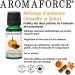 Aromaforce Pumpkin Spice Fall Blend 100% Pure & Natural 15mL - Buy Online on GoSupps.com
