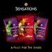 Sensations Poppadoms Mango and Red Chilli Chutney 82.5 g (Pack of 4) - Buy Online on GoSupps.com
