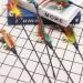 Besimple Set of 6 Feather Wands for Cats - Variable Colour - Coloured Feathers - for Cats and Kittens - Buy Online on GoSupps.com